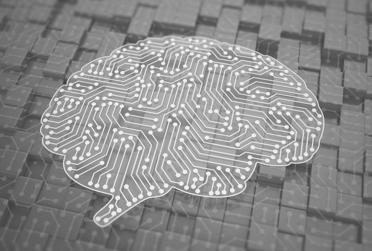 Students collaborating on machine learning models for financial scoring applications